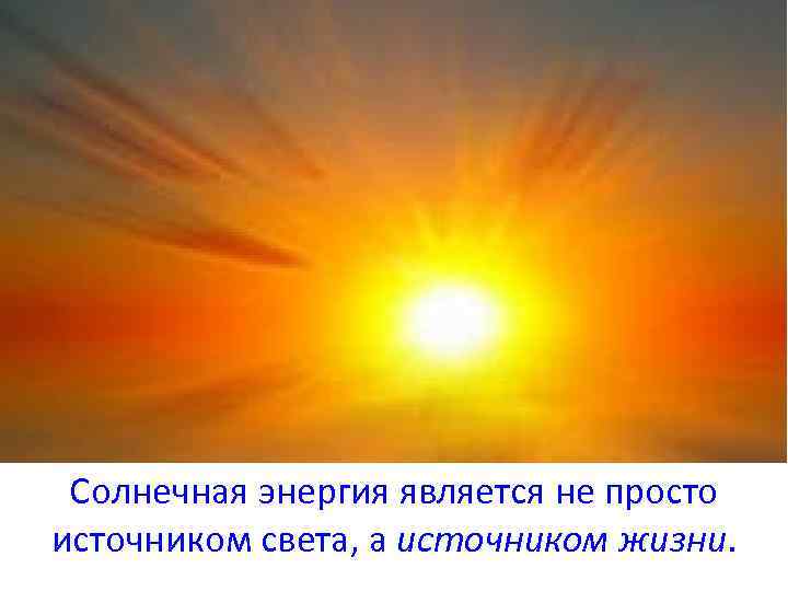 Солнечная энергия является не просто источником света, а источником жизни. 