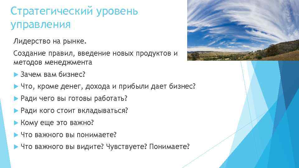 Стратегический уровень управления Лидерство на рынке. Создание правил, введение новых продуктов и методов менеджмента