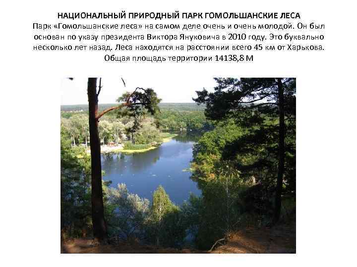 НАЦИОНАЛЬНЫЙ ПРИРОДНЫЙ ПАРК ГОМОЛЬШАНСКИЕ ЛЕСА Парк «Гомольшанские леса» на самом деле очень и очень