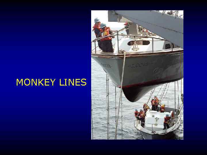 MONKEY LINES 