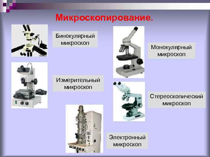 Какое изображение дает стереоскопический микроскоп