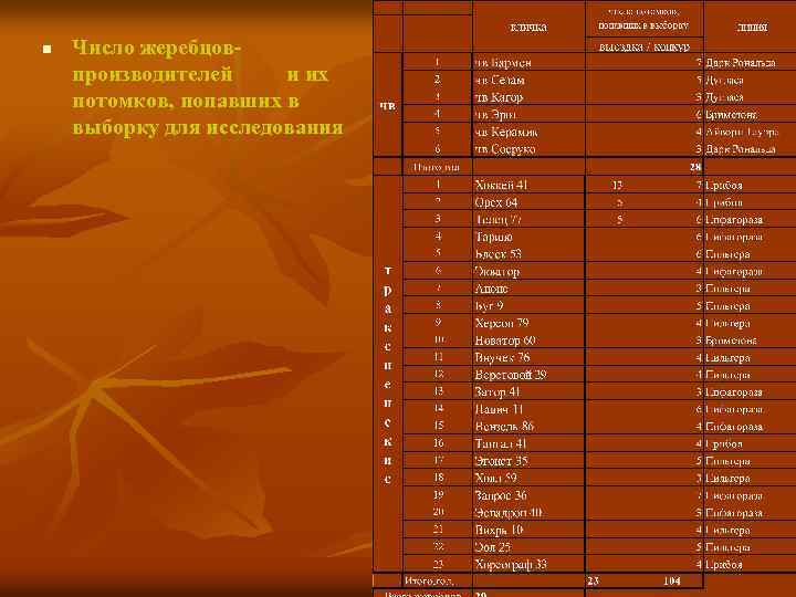 n Число жеребцовпроизводителей и их потомков, попавших в выборку для исследования 