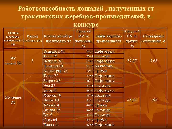 Работоспособность лошадей , полученных от тракененских жеребцов-производителей, в конкуре 