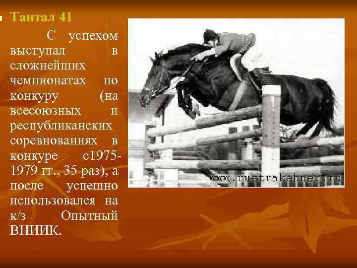 n Тантал 41 С успехом выступал в сложнейших чемпионатах по конкуру (на всесоюзных и