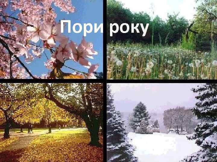 Пори року 