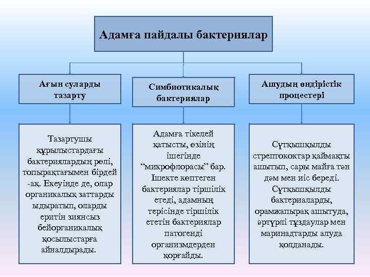 Адамға пайдалы бактериялар Ағын суларды тазарту Симбиотикалық бактериялар Ашудың өндiрiстiк процестерi Тазартушы құрылыстардағы бактериялардың