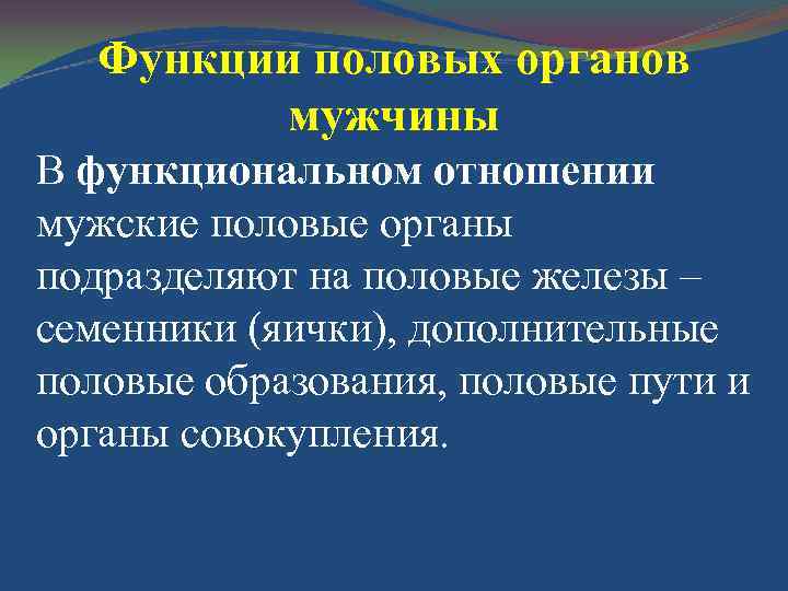 Функции половых органов мужчины В функциональном отношении мужские половые органы подразделяют на половые железы