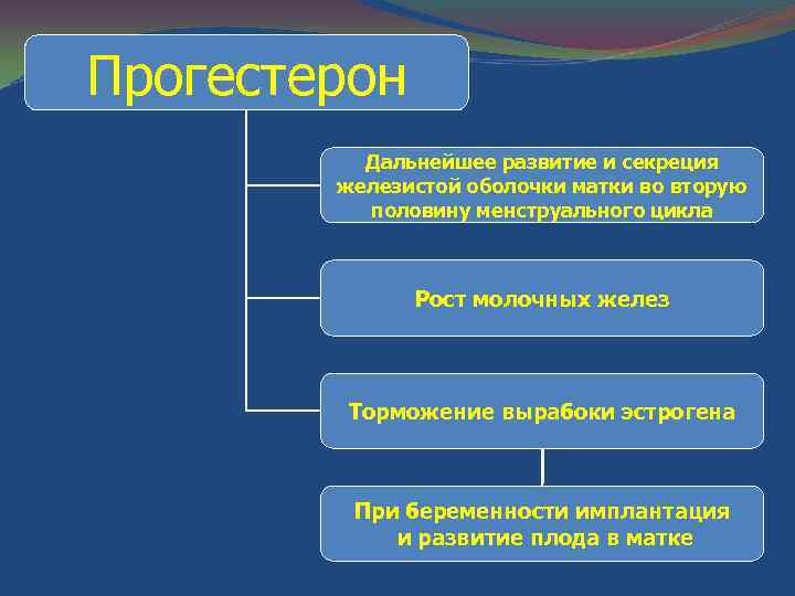 Прогестерон Дальнейшее развитие и секреция железистой оболочки матки во вторую половину менструального цикла Рост