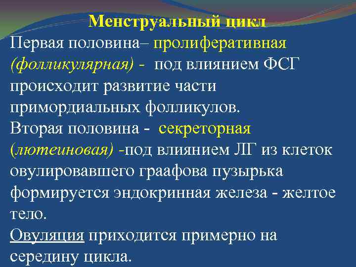 Менструальный цикл Первая половина– пролиферативная (фолликулярная) - под влиянием ФСГ происходит развитие части примордиальных