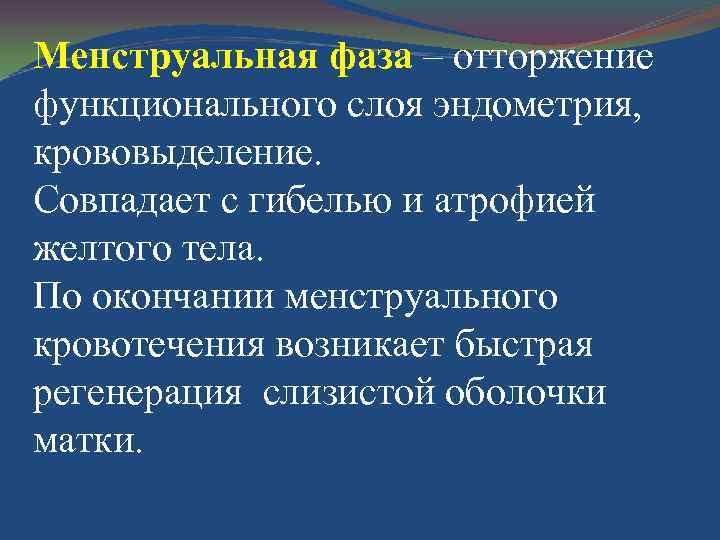 Менструальная фаза – отторжение функционального слоя эндометрия, крововыделение. Совпадает с гибелью и атрофией желтого