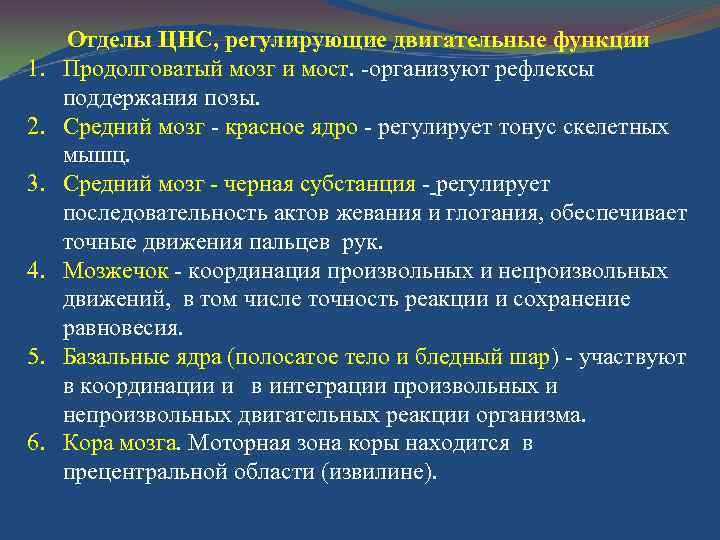 1. 2. 3. 4. 5. 6. Отделы ЦНС, регулирующие двигательные функции Продолговатый мозг и