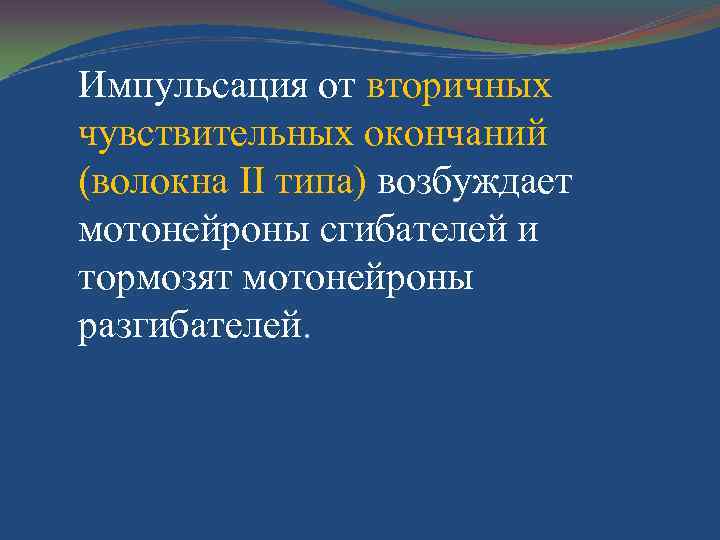 Импульсация от вторичных чувствительных окончаний (волокна II типа) возбуждает мотонейроны сгибателей и тормозят мотонейроны