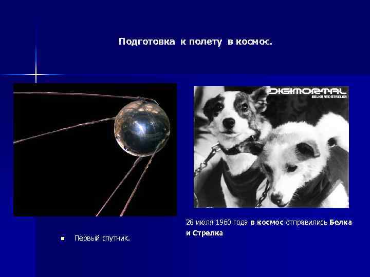 Подготовка к полету в космос. n Первый спутник. 28 июля 1960 года в космос