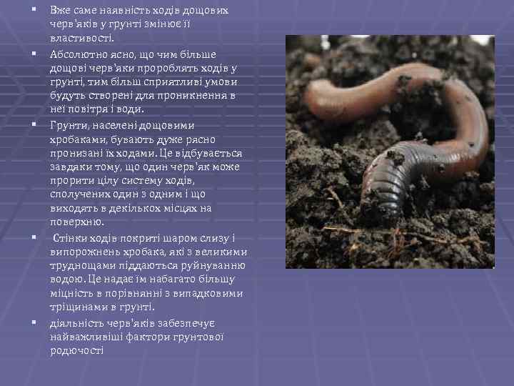 § Вже саме наявність ходів дощових § § черв'яків у грунті змінює її властивості.