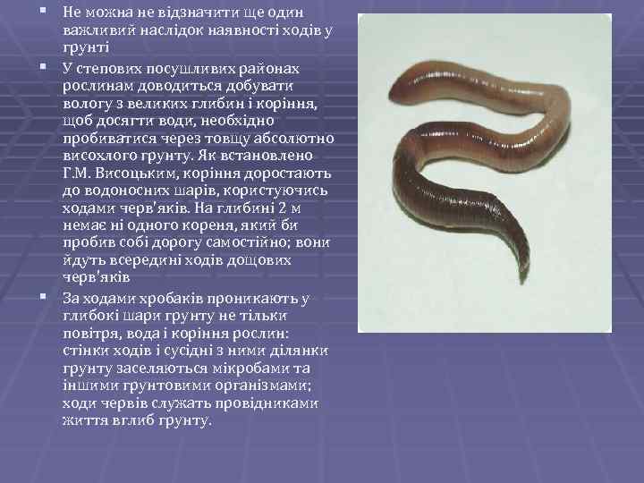 § Не можна не відзначити ще один важливий наслідок наявності ходів у грунті §