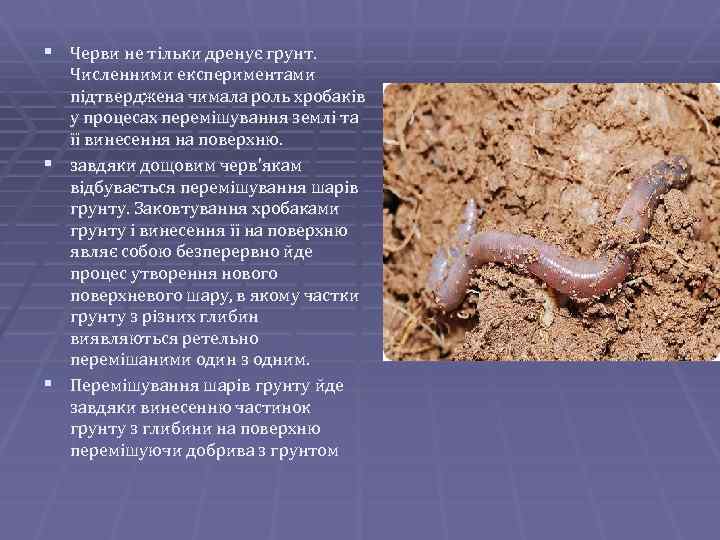 § Черви не тільки дренує грунт. Численними експериментами підтверджена чимала роль хробаків у процесах