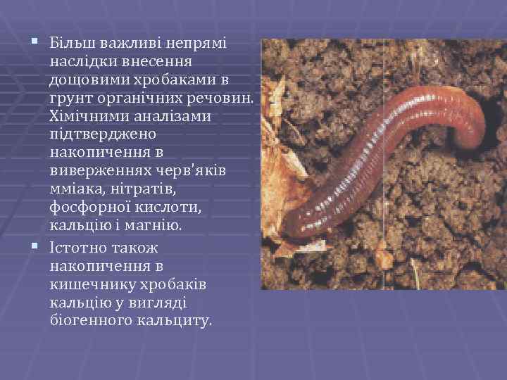§ Більш важливі непрямі наслідки внесення дощовими хробаками в грунт органічних речовин. Хімічними аналізами