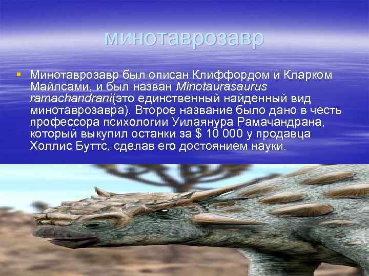 минотаврозавр § Минотаврозавр был описан Клиффордом и Кларком Майлсами, и был назван Minotaurasaurus ramachandrani(это