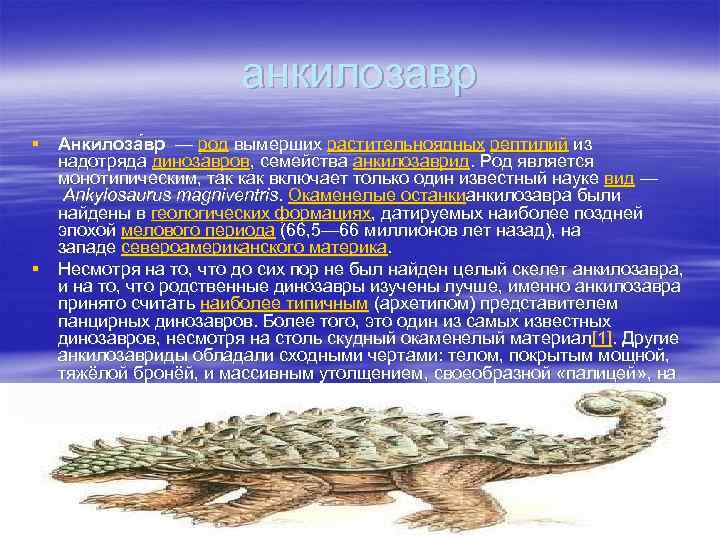 анкилозавр § Анкилоза вр — род вымерших растительноядных рептилий из надотряда динозавров, семейства анкилозаврид.