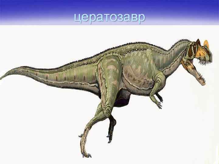 цератозавр 