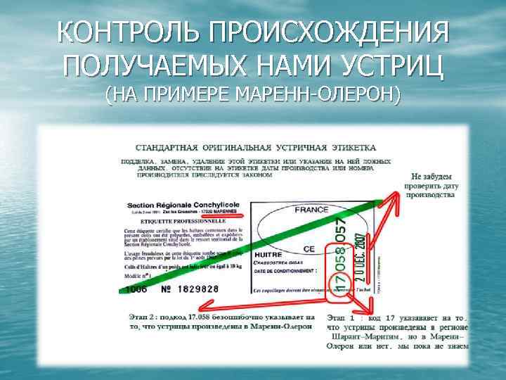 КОНТРОЛЬ ПРОИСХОЖДЕНИЯ ПОЛУЧАЕМЫХ НАМИ УСТРИЦ (НА ПРИМЕРЕ МАРЕНН-ОЛЕРОН) 