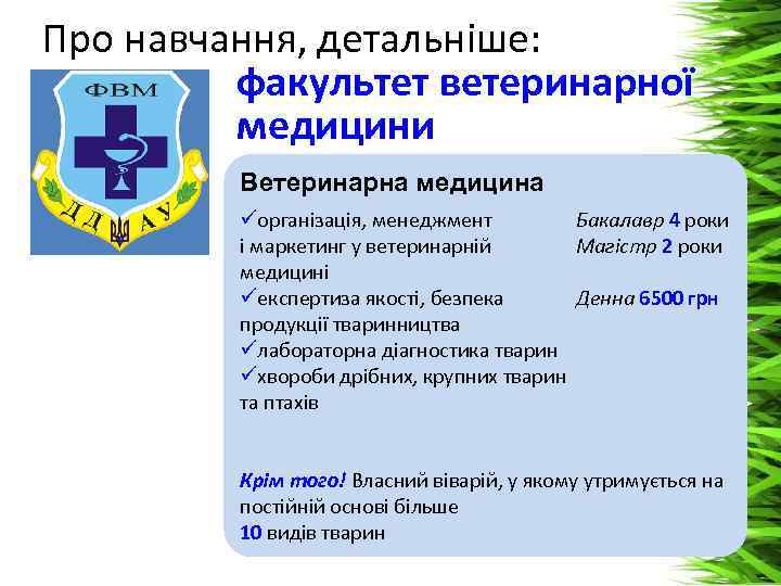 Про навчання, детальніше: факультет ветеринарної медицини Ветеринарна медицина Бакалавр 4 роки üорганізація, менеджмент Магістр