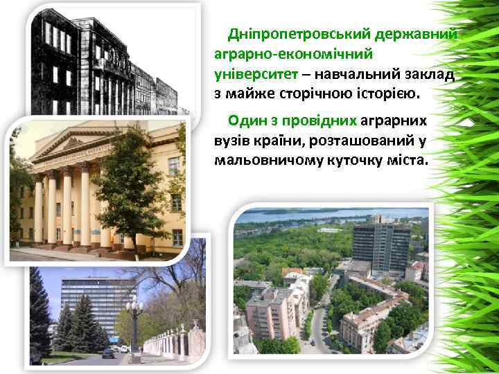 Дніпропетровський державний аграрно-економічний університет – навчальний заклад з майже сторічною історією. Один з провідних