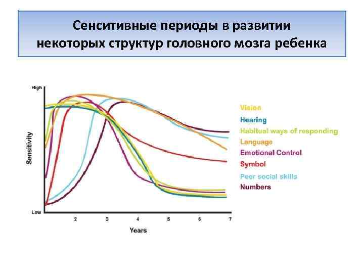 Сенситивные периоды обучения