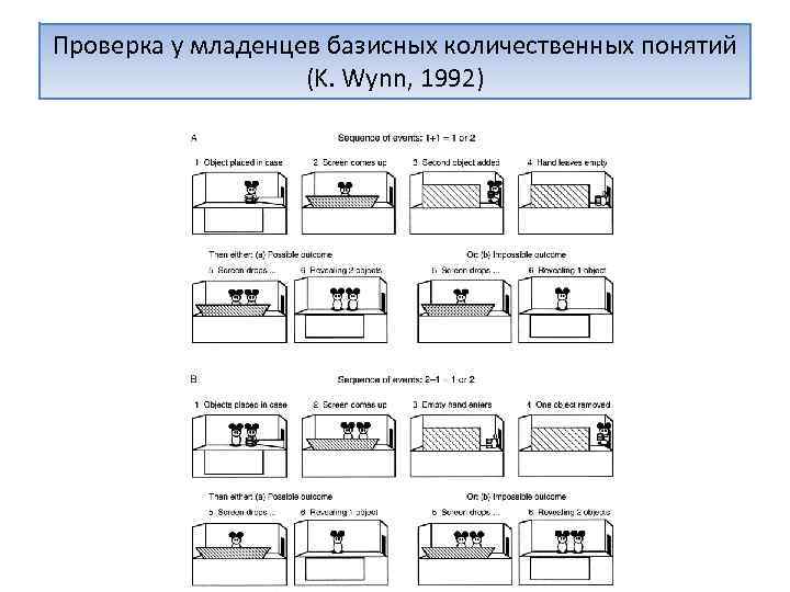 Проверка у младенцев базисных количественных понятий (K. Wynn, 1992) 
