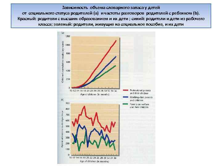 Зависимость объема словарного запаса у детей от социального статуса родителей (a) и частоты разговоров