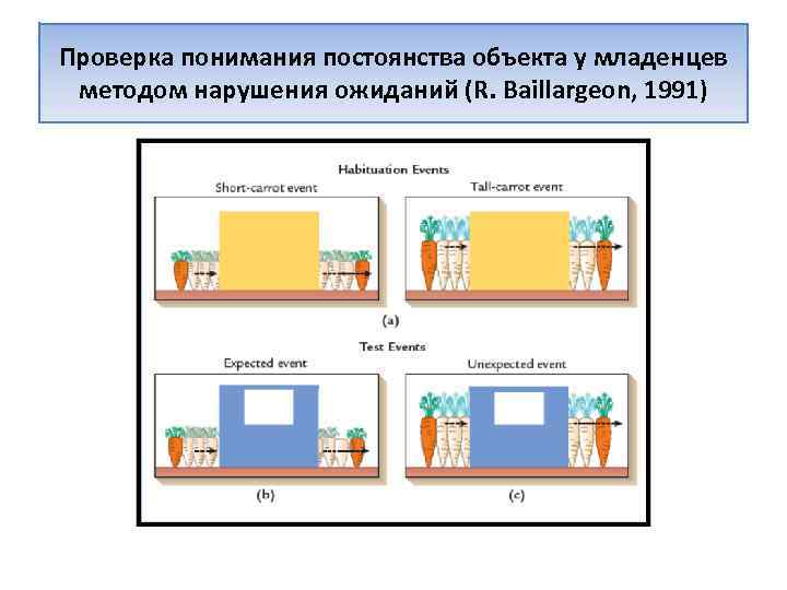 Проверка понимания постоянства объекта у младенцев методом нарушения ожиданий (R. Baillargeon, 1991) 
