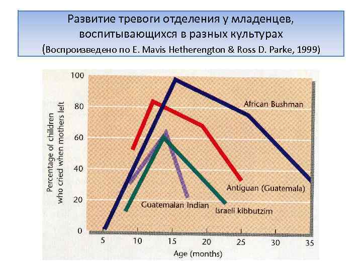 Развитие тревоги отделения у младенцев, воспитывающихся в разных культурах (Воспроизведено по E. Mavis Hetherengton