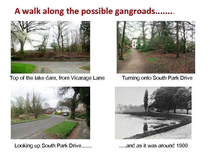 A walk along the possible gangroads. . . . Top of the lake dam,