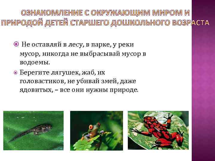  Не оставляй в лесу, в парке, у реки мусор, никогда не выбрасывай мусор