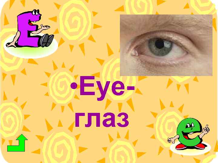 Eyes на английском