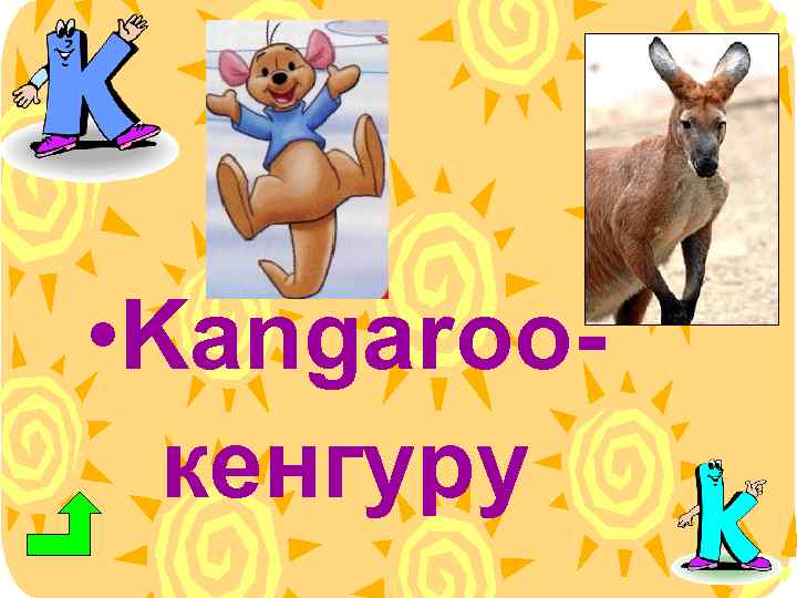  • Kangarooкенгуру 