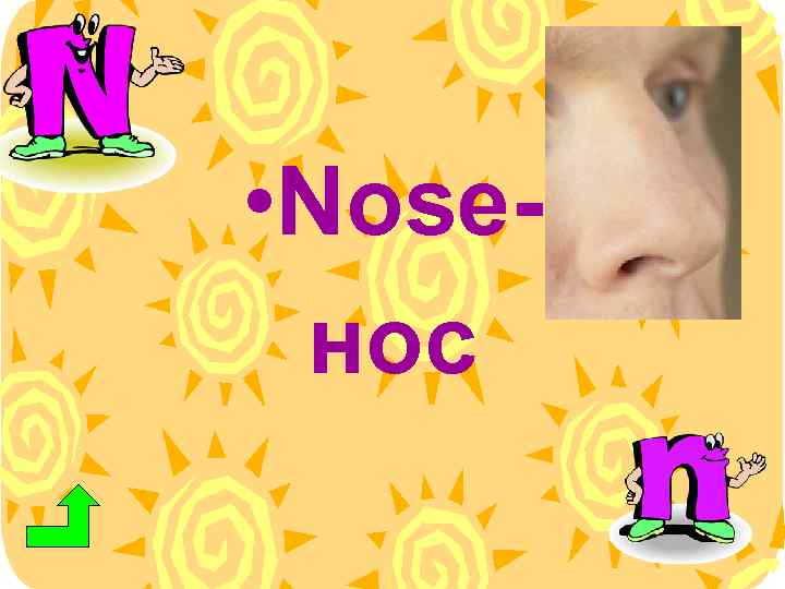  • Noseнос 