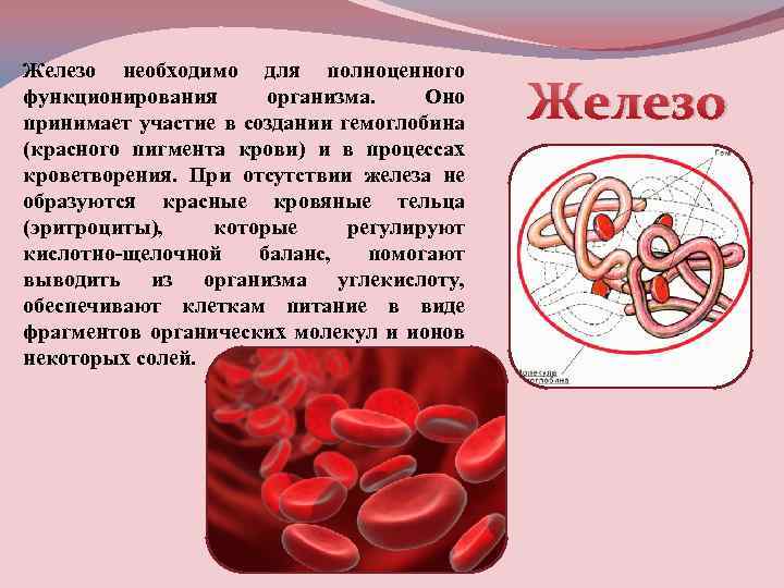 Железо необходимо для полноценного функционирования организма. Оно принимает участие в создании гемоглобина (красного пигмента