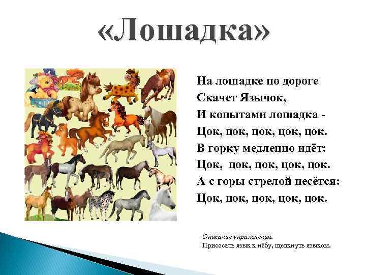  «Лошадка» На лошадке по дороге Скачет Язычок, И копытами лошадка Цок, цок, цок.