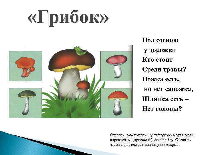  «Грибок» Под сосною у дорожки Кто стоит Среди травы? Ножка есть, но нет