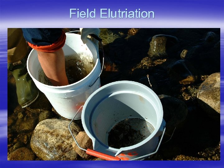 Field Elutriation 