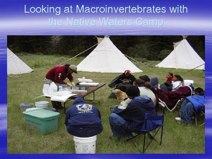 Looking at Macroinvertebrates with the Native Waters Camp 