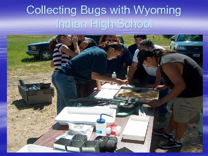 Collecting Bugs with Wyoming Indian High School 