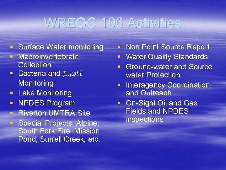 WREQC 106 Activities § Surface Water monitoring § Macroinvertebrate Collection § Bacteria and E.