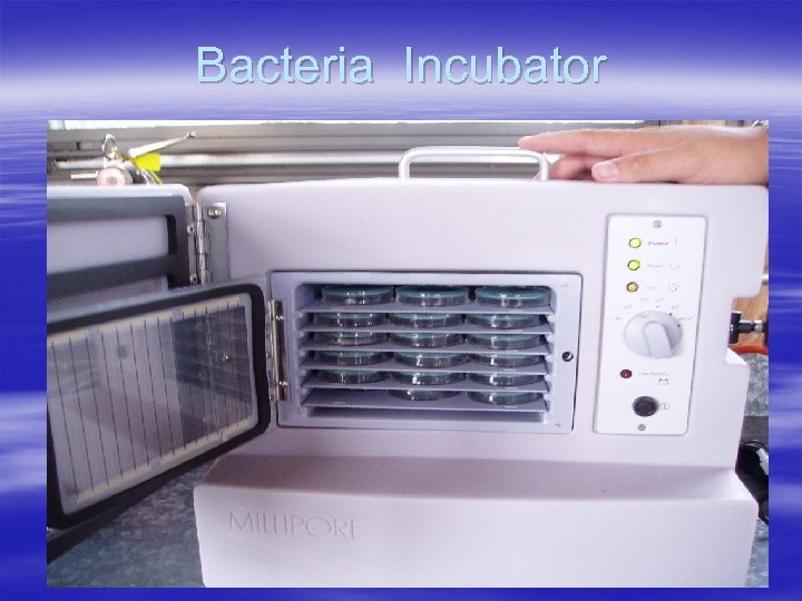 Bacteria Incubator 