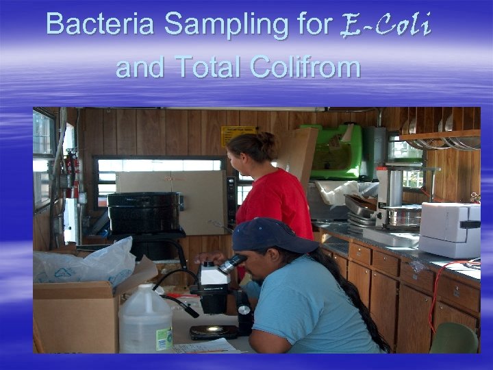 Bacteria Sampling for E-Coli and Total Colifrom 