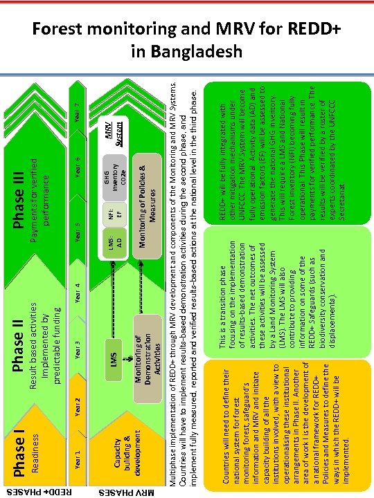 REDD+ PHASES MRV PHASES Year 2 Monitoring of Demonstration Activities LMS Year 3 Year