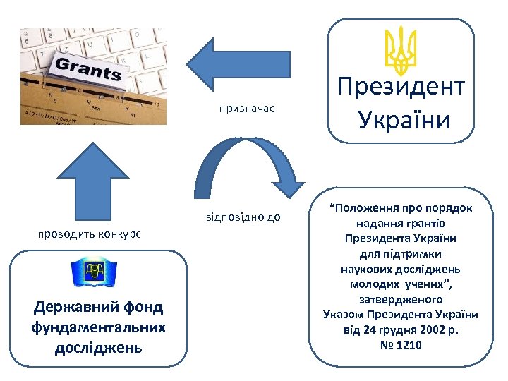 призначає відповідно до проводить конкурс Державний фонд фундаментальних досліджень Президент України “Положення про порядок