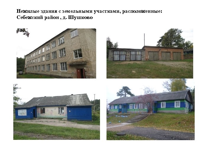 Нежилые здания с земельными участками, расположенные: Себежский район , д. Шушково 