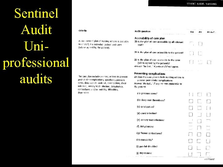 Sentinel Audit Uniprofessional audits 